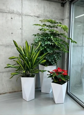 杭州湾租绿植千套方案效果-慈溪室内植物租赁店-鄞州绿植租摆市场需求-慈溪绿植租摆布置风格